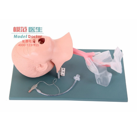 急救模型
